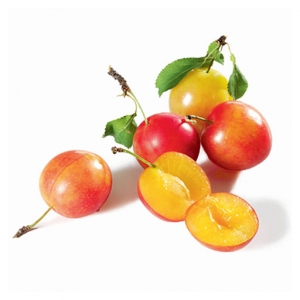 cherry-plum