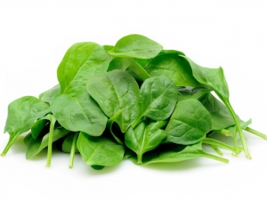 Pile of baby spinach